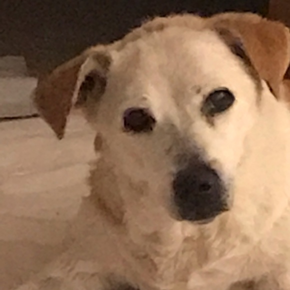 Meet your Posher, Janice - Picture 5 of 5